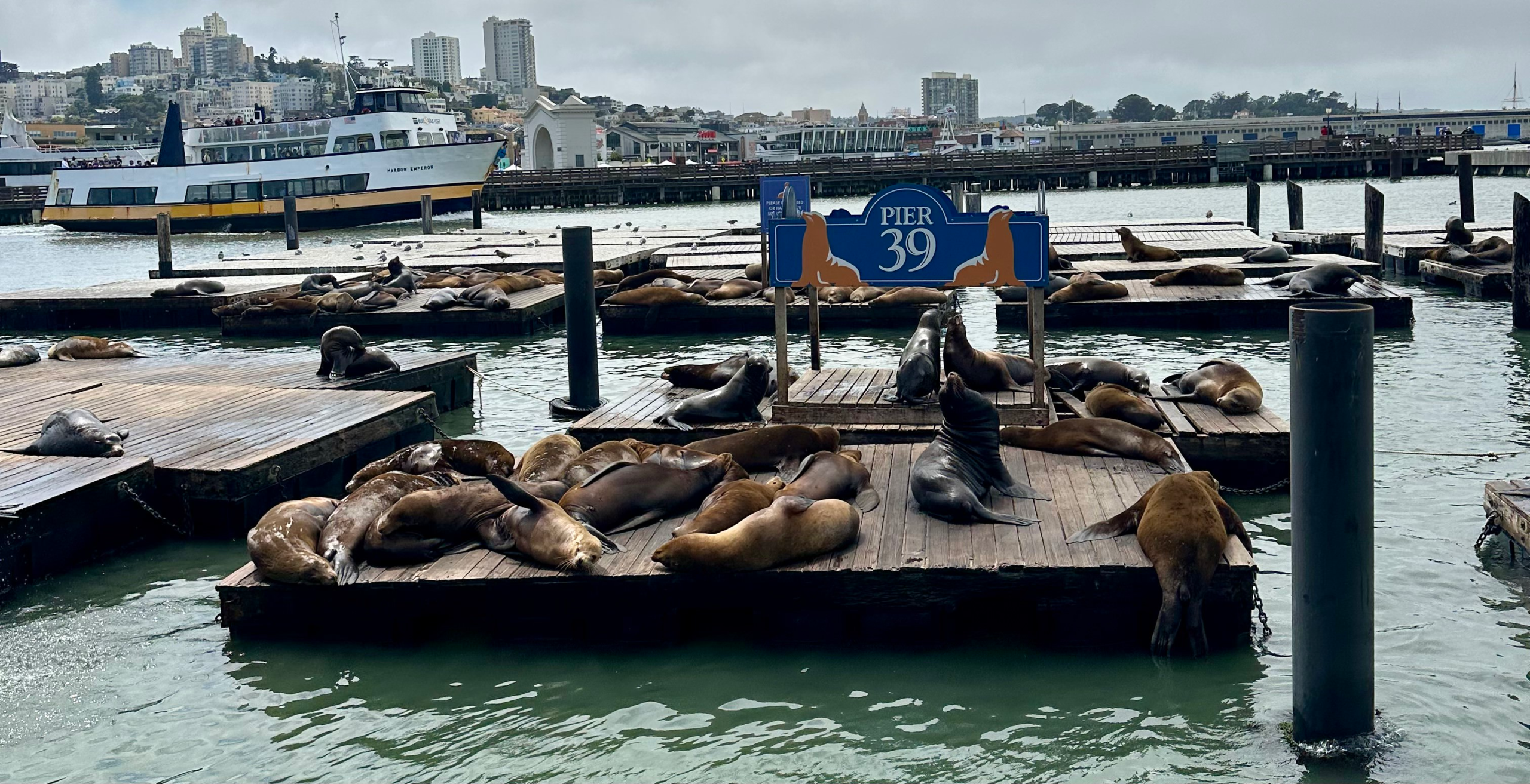 San Francisco Bucket List: 10 Things You’ll Love on Your First Visit