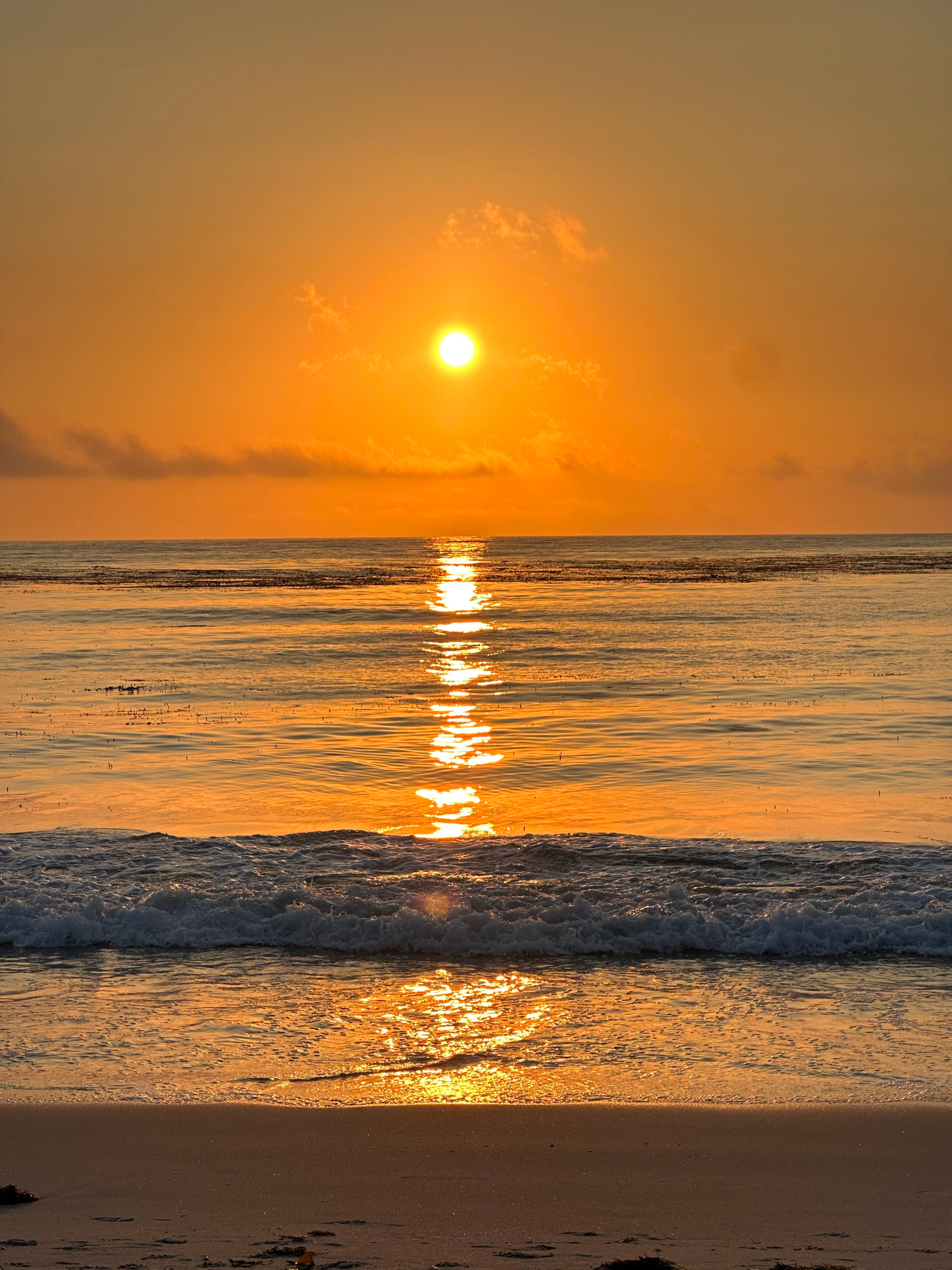 Top 10 Things to Do in Carmel, Monterey & Big Sur (That You’ll Actually Love)