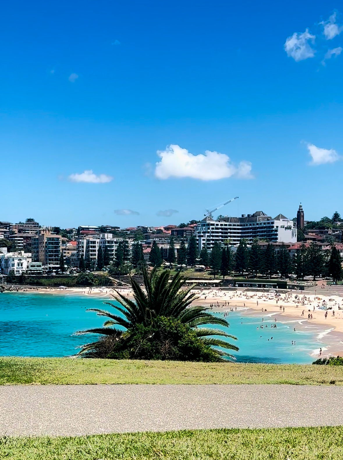 Your Guide to the Bondi to Coogee Walk