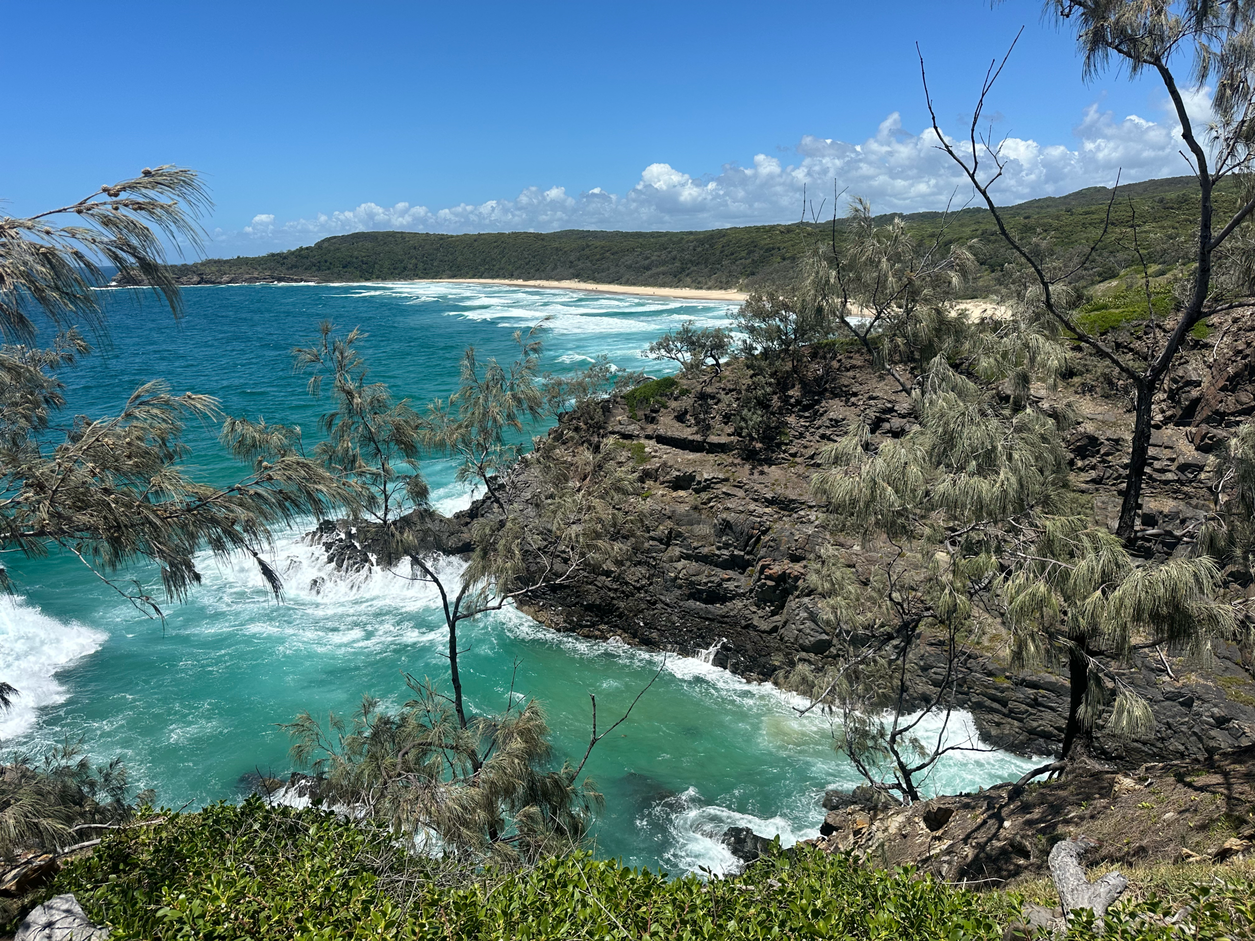 Your Guide to the Noosa National Park Walk
